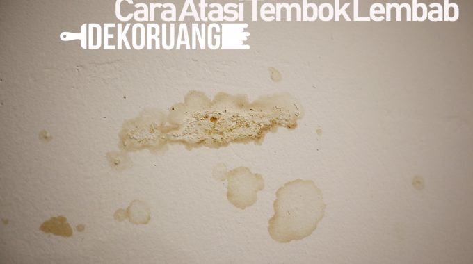 Cara Mengatasi Tembok Lembab  Pengalaman Pribadi 